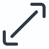 maximize icon